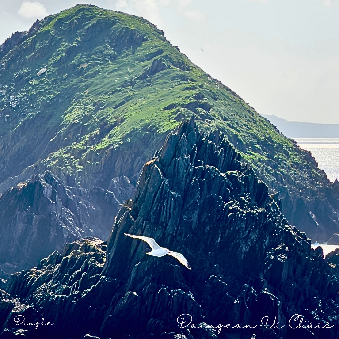 Dunmore Head Postcard – Dingle Eco Designs 🌊🏞️
Capture the breathtaking beauty of Dunmore Head, one of the most scenic spots on the Dingle Peninsula, with this stunning postcard. Featuring dramatic cliffs, the rolling Atlantic waves, and a splash of natural splendor, this postcard is a perfect memento of your visit to Dingle’s rugged coastline.
Product Highlights:
Vibrant Design: A beautifully detailed representation of Dunmore Head’s iconic landscape.